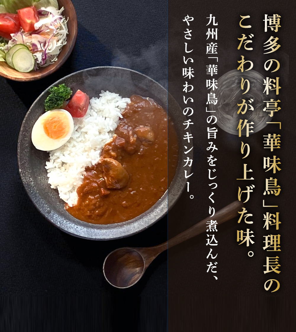 華味鳥のささみ入り チキンカレー