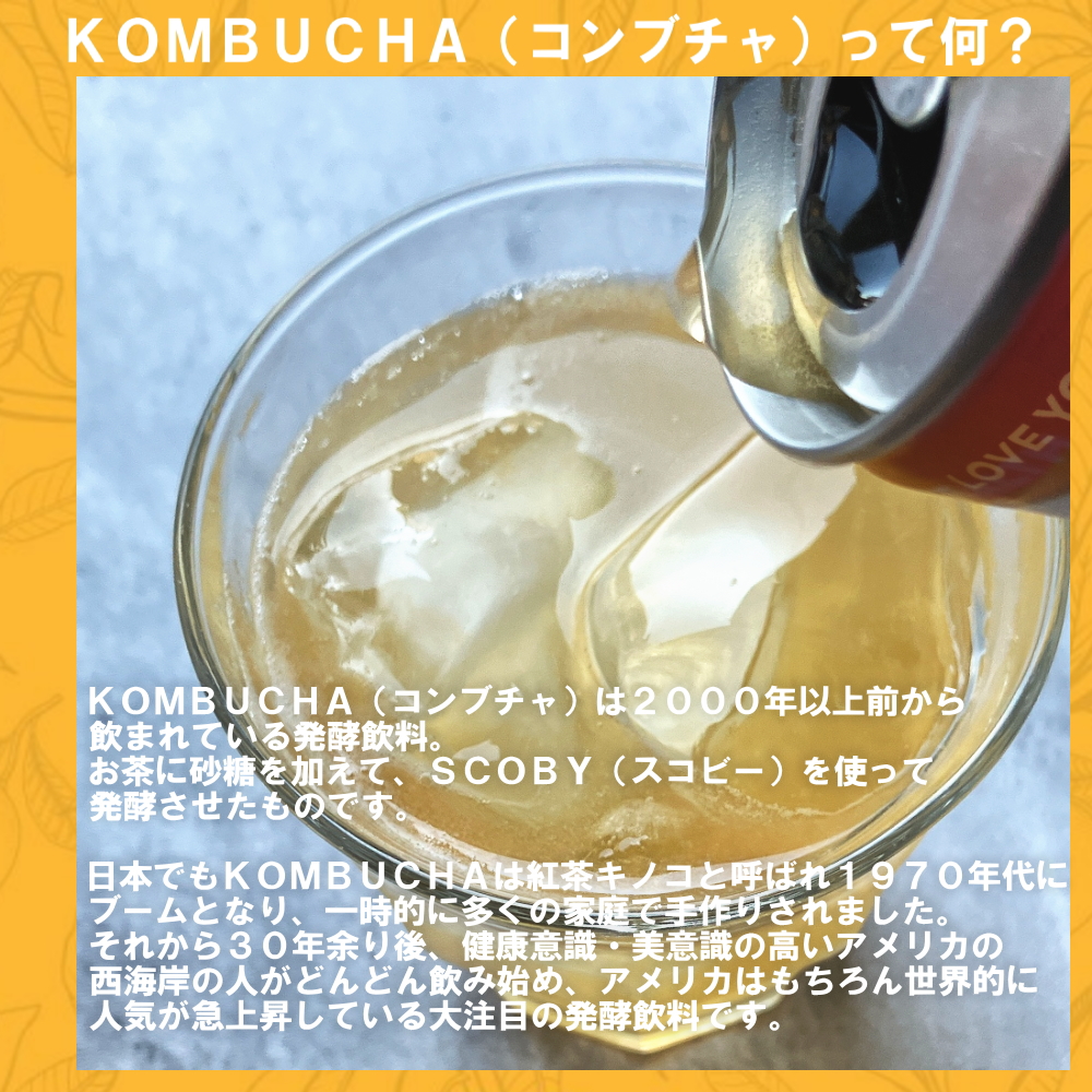 KOMBUCHA（コンブチャ）ってなに？