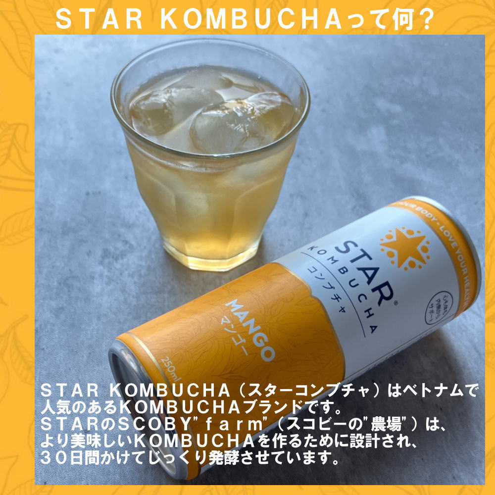 STAR KOMBUCHAって何？