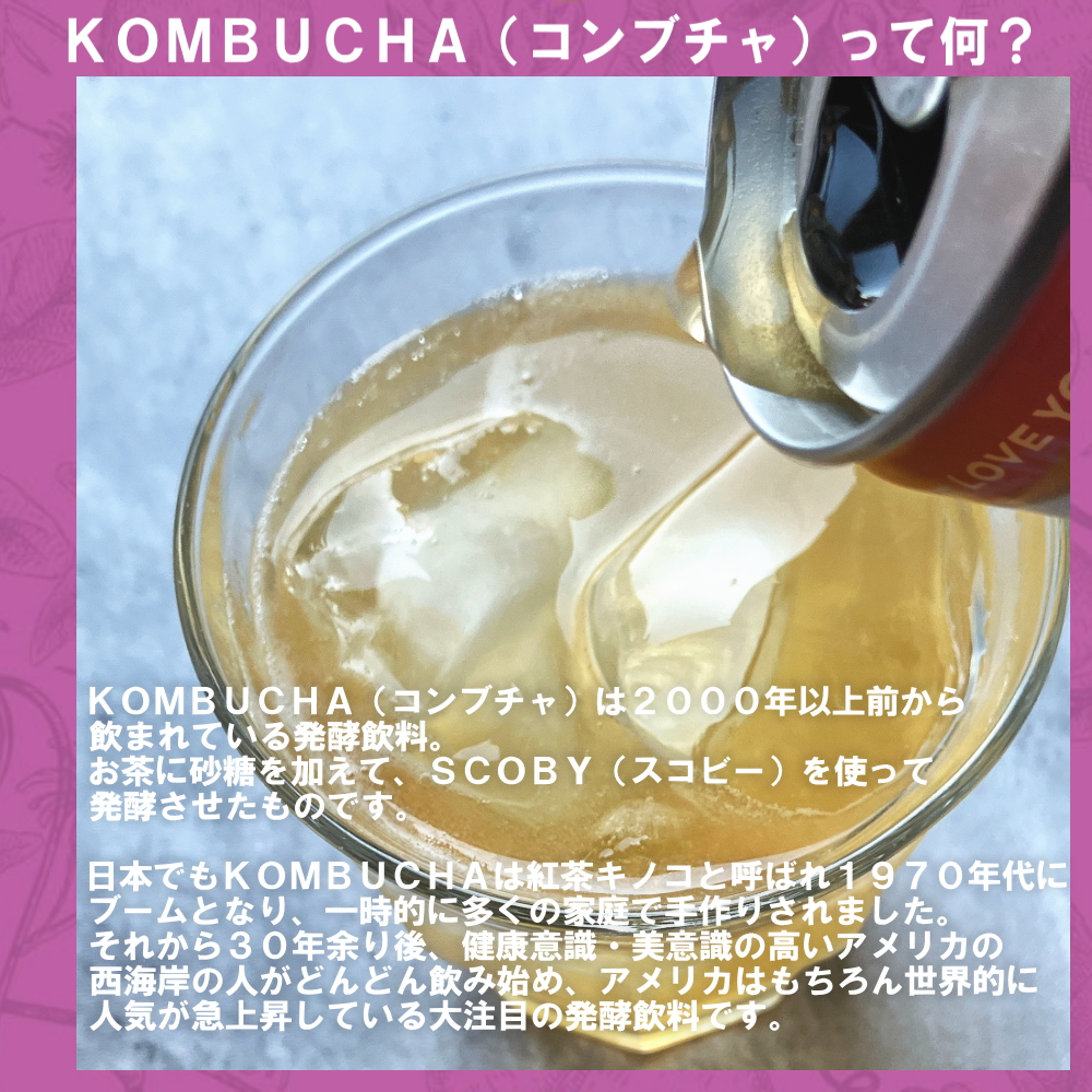 KOMBUCHA（コンブチャ）ってなに？