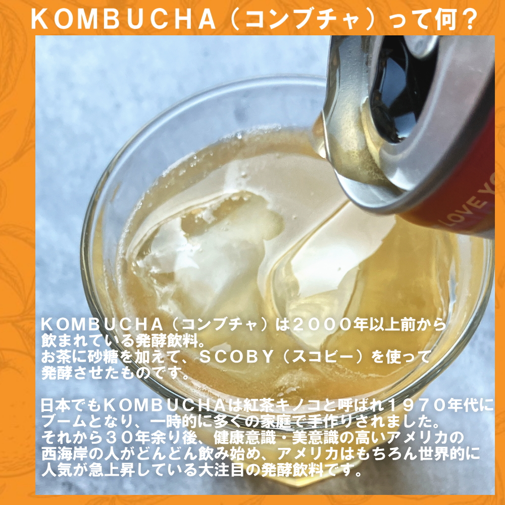 KOMBUCHA（コンブチャ）ってなに？