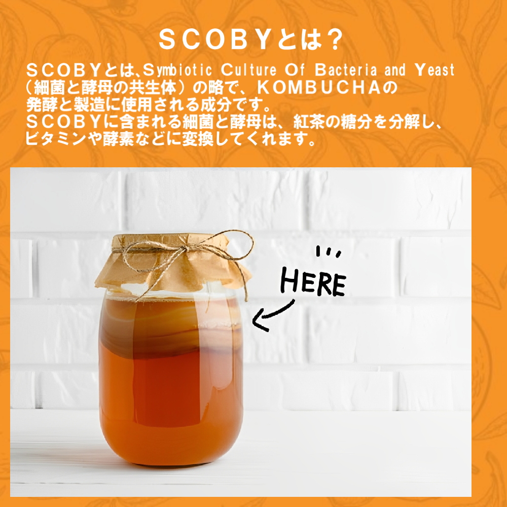 SCOBY（スコビー）とは？