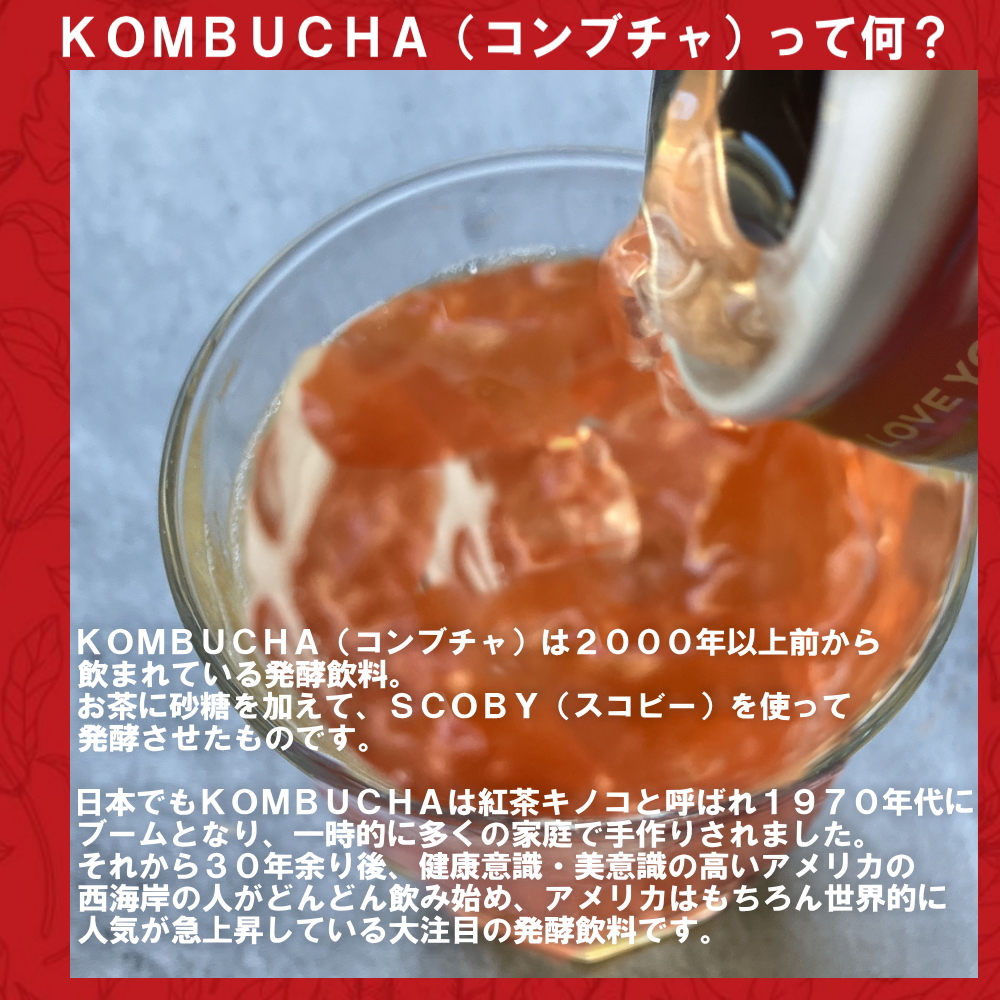 KOMBUCHA（コンブチャ）ってなに？